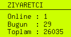 online ziyaretci sayacı