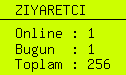 online ziyaretci sayacı