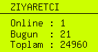 online ziyaretci sayacı