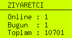 online ziyaretci sayacı
